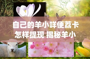 自己的羊小咩便荔卡怎样提现 揭秘羊小咩便荔卡提现攻略，轻松变现，让你钱包鼓鼓哒！