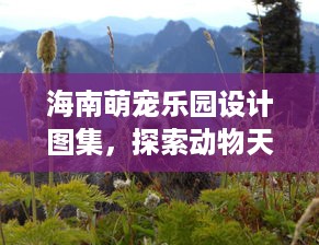 海南萌宠乐园设计图集，探索动物天堂的魅力
