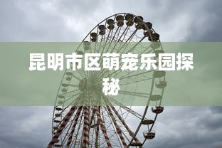 昆明市区萌宠乐园探秘