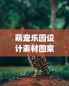 萌宠乐园设计素材图案高清—探索动物乐园的无限创意与魅力
