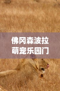 佛冈森波拉萌宠乐园门票—探索自然与动物的奇妙世界