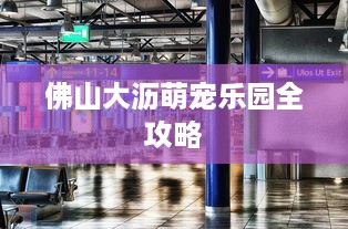 佛山大沥萌宠乐园全攻略