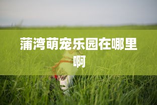 蒲湾萌宠乐园在哪里啊