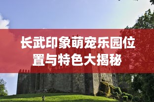 长武印象萌宠乐园位置与特色大揭秘