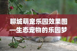 聊城萌宠乐园效果图—生态宠物的乐园梦想