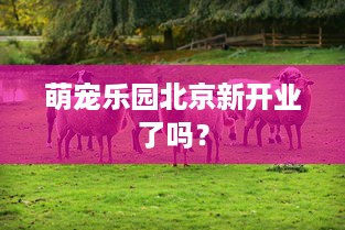 萌宠乐园北京新开业了吗？
