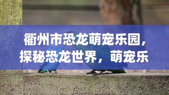 衢州市恐龙萌宠乐园，探秘恐龙世界，萌宠乐园之旅