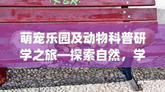 萌宠乐园及动物科普研学之旅—探索自然，学习与成长