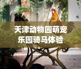 天津动物园萌宠乐园骑马体验