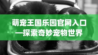 萌宠王国乐园官网入口—探索奇妙宠物世界