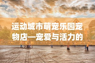 运动城市萌宠乐园宠物店—宠爱与活力的完美结合