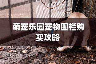 萌宠乐园宠物围栏购买攻略