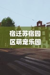 宿迁苏宿园区萌宠乐园—宠物天堂的探索之旅