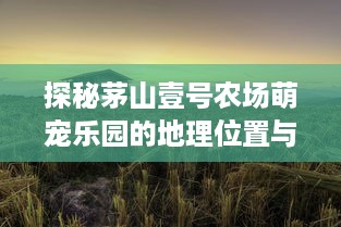 探秘茅山壹号农场萌宠乐园的地理位置与特色