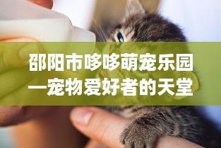 邵阳市哆哆萌宠乐园—宠物爱好者的天堂