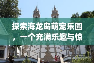 探索海龙岛萌宠乐园，一个充满乐趣与惊喜的目的地