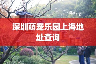 深圳萌宠乐园上海地址查询