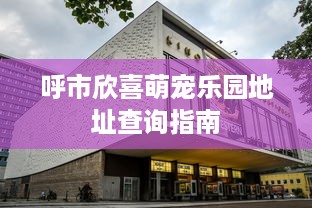 呼市欣喜萌宠乐园地址查询指南