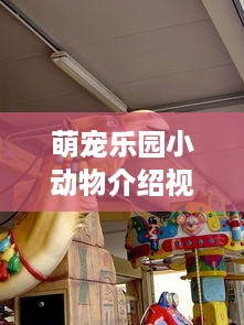 萌宠乐园小动物介绍视频