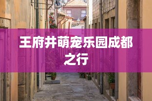 王府井萌宠乐园成都之行