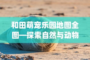和田萌宠乐园地图全图—探索自然与动物的奇妙世界