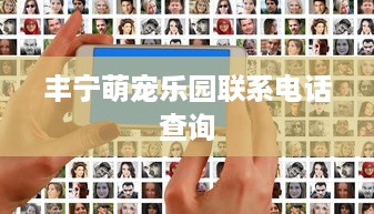 丰宁萌宠乐园联系电话查询