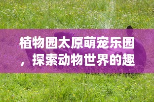 植物园太原萌宠乐园，探索动物世界的趣味与乐趣