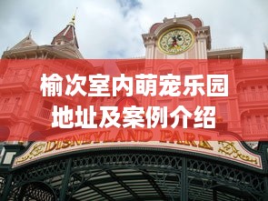 榆次室内萌宠乐园地址及案例介绍