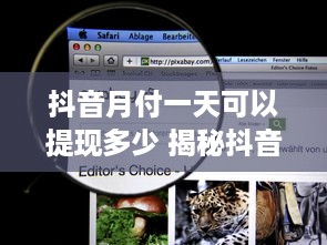 抖音月付一天可以提现多少 揭秘抖音月付一天提现额度，看看你每天能赚多少钱！